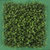 Arrayan Verde