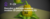 Banner de trian3d