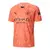 Camisa Manchester City Goleiro 24/25 - Torcedor Puma Masculina - Laranja com detalhes em preto