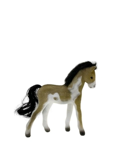Caballo potrillo patas largas en internet