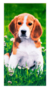 Toalha de Praia Resort Lovely Beagle 360g/m² - Buettner