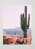 Posters de Parede - Indie