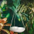 VASO CUIA CORAÇÃO500 SUSPENSO C/SISAL 300ML MINI ORQUÍDEA SUCULENTA - comprar online