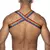Imagem do Harness COLORIDA - Ombros, peito.