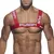 Harness PEITORAL PUMP - Várias cores. - loja online