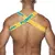 Harness PEITORAL PUMP - Várias cores.