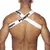 Harness PUMP - Escolha sua cor favorita. na internet