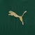 palmeiras - feminina - home - i - 24/25 - puma 
