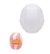 Egg Easy Beat / Ona Cap na internet
