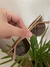 Lentes de Sol - comprar online