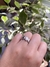 Anillo Círculos Regulable