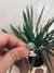 Anillo Cubiks con Piedra