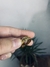 Anillo Puntos Regulable - comprar online