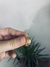 Anillo Espiga - comprar online