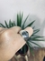 Anillo Visión Grande