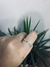 Anillo Multicolor