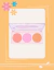 PALETA DE BLUSH na internet