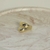 Anel Gota Bold Charm na internet