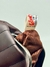 Bolsa Kelson’s - comprar online