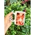 Caneca: VOCÊ PERSONALIZA.