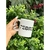 Caneca: VOCÊ PERSONALIZA.