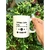 Caneca: VOCÊ PERSONALIZA. - comprar online