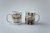 Imagem do Caneca dia dos pais time - modelo 9