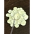 Cartela adesivo redondo personalizado - 3 cm - comprar online