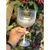Combo taça gin degradê personalizada de acrílico na internet