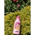 Squeeze plástico personalizada - 500 ml - loja online