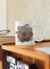 Caneca dia dos pais time - modelo 8 - loja online