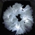 corona de flores led - comprar online