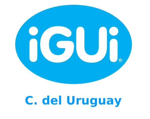 concepciondeluruguay@igui.com