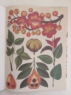 BOTANICUM - tienda online
