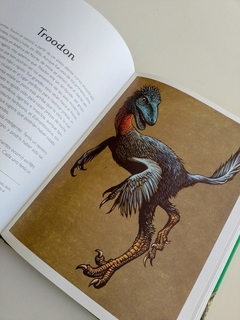 DINOSAURIUM Edición Junior - comprar online