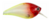 Isca artificial Big Gut Sumax