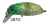 Isca Artificial Beetle Buster 40 Strike Pro - Loja do Pescador DV