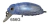 Isca Artificial Beetle Buster 40 Strike Pro - loja online