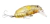 Isca Artificial Beetle Buster 40 Strike Pro