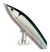 Isca Artificial Carolina 100 Maruri - comprar online