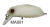 Isca Artificial Beetle Buster 40 Strike Pro na internet