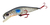 Isca Artificial Raptor Minnow 70 Marine Sports