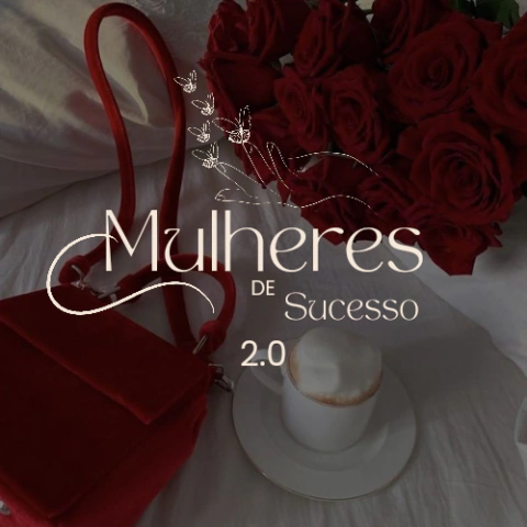 Mulheres de sucesso 2.0