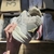 Nike Air Jordan 4 Retro “Photon Dust” en internet