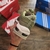 Nike Air Max 97 Futura en internet