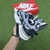 Nike Air Max Furyosa "Silver" en internet