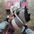 Nike Air Jordan 1 Mid “Cement Grey” en internet