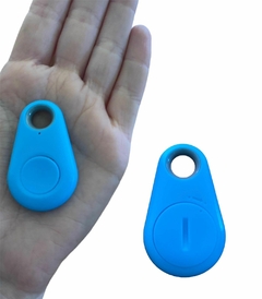 Localizador Llavero GPS en internet