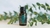 Aceite de Eucalipto 15ml en internet
