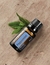 Aceite de Menta 15ml - comprar online